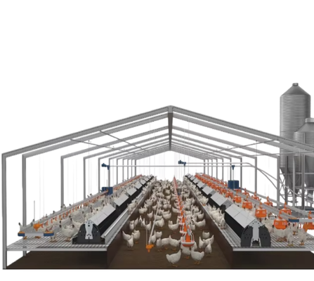 Prefabricated Steel Structure Chicken House Galvanized Steel Frame Poultry Farm Building with Ventilation & Insulation System